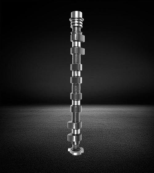 10060082030000  AUTOBIANCHI Camshaft